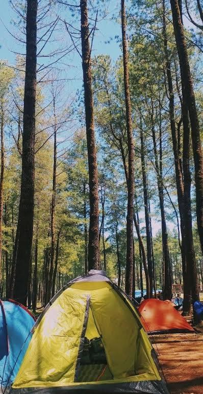 Tapian Ratu Camp Real 武吉丁宜 外观 照片