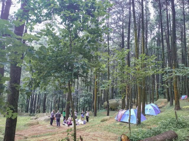 Tapian Ratu Camp Real 武吉丁宜 外观 照片